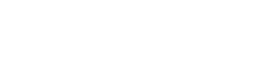 EverAbility Logo
