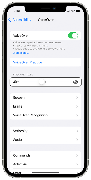 VoiceOver toggle in the voiceover menu.