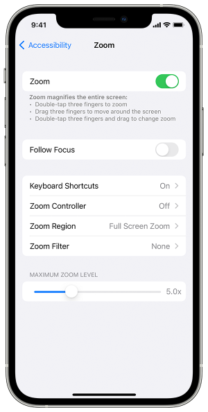 How to use and customize the Accessibility Shortcut on iPhone and