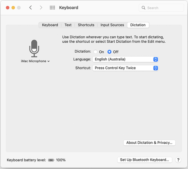 Screenshot of diction options on keyboard panel