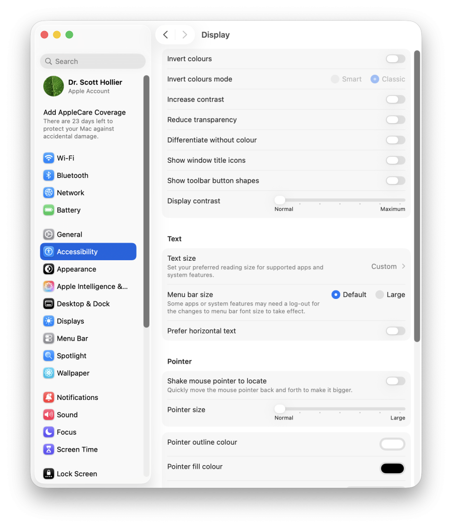 A screenshot of macOS's display accessibility settings.