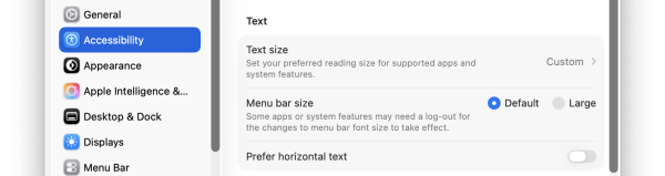 A cropped screenshot of the Text section of macOS' display accessibility settings.