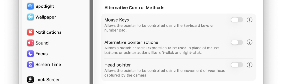 A cropped screenshot of the Alternative Controls Methods within the pointer control accessibility settings in macOS.