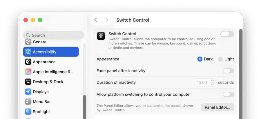 A cropped screenshot of the Switch Control settings in the macOS system settings window.