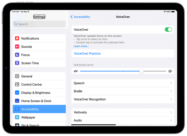 Voiceover toggle highlighted.