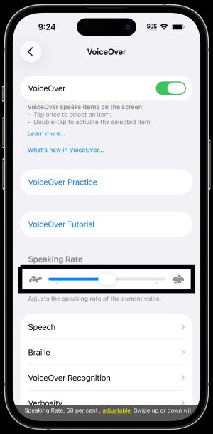VoiceOver toggle in the voiceover menu.
