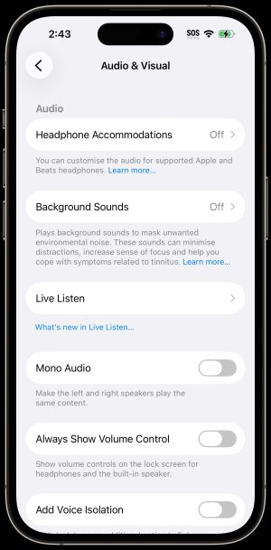 IPhone Audio/Visual Screenshot of a list of features available for Audio & Visual