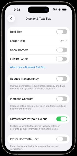 IPhone Display & Text Size Screenshot of a list of features available for Display & Text Size