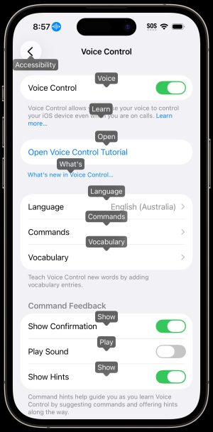 IPhone Voice Control Features in the Voice control menu