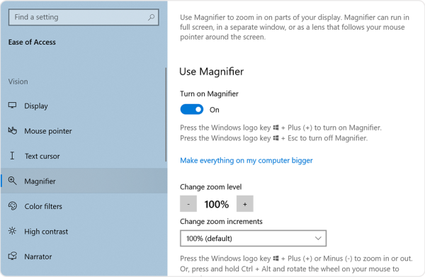 Toggle switch for Magnifier that has been switched from off to on