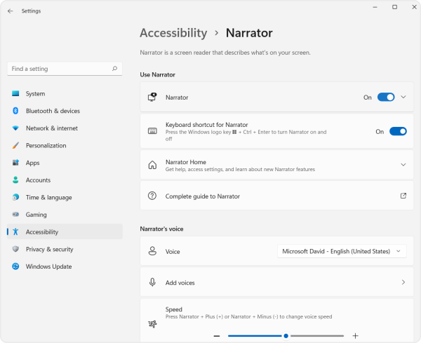 Screenshot of the Narrator settings panel in the accessibility menu. 