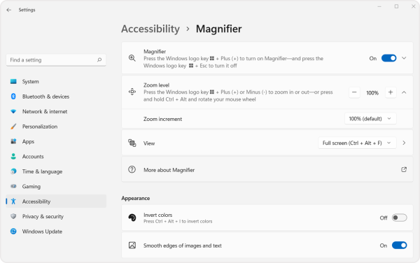 Screenshot of the magnifier panel setting in the accessibility menu. 