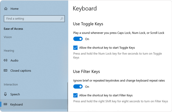 Screenshot of the Keyboard panel settings showing toggle keys and use filter keys