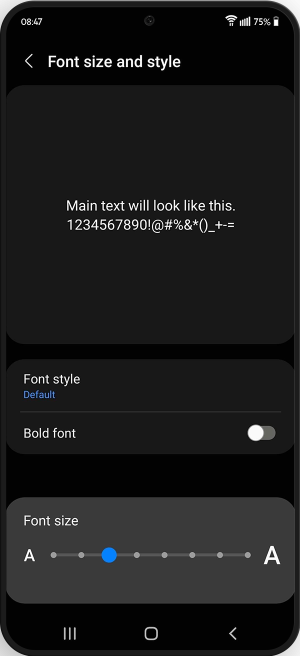 The preview shows what the main text will look like. Option to choose font styles, enable bold font and adjust font size with the slider.