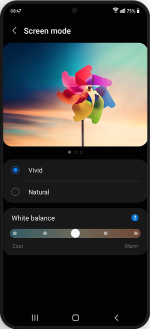 Shows a preview of what the picture will look like based on current settings. Choose between vivid or natural and adjust the white balance with the slider. Option to also explore more advanced stages with a button at the bottom.