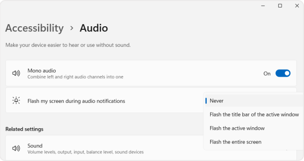 Screenshot of the Flash my screen during audio notifications options in the audio panel