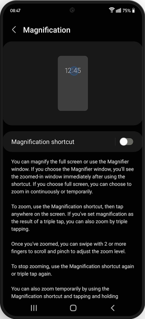 Magnifier Window Shortcut highlighted in the magnifier window menu.