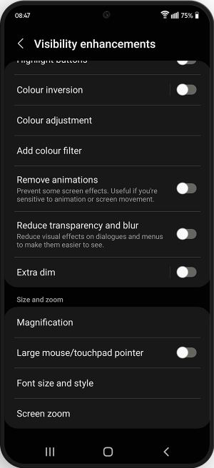 Magnification menu in the visibility enhancements menu.