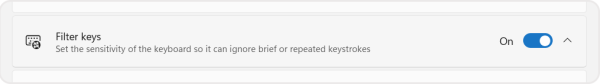 Screenshot of the Use Filter keys toggle of the keyboard setting in the accessibility menu. 