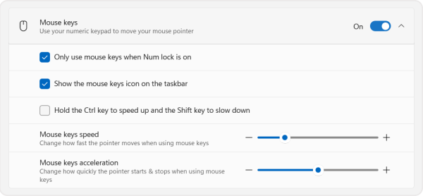 Screenshot of the mouse keys toggle and settings of the mouse panel in the accessibility menu. 