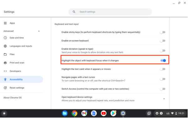 Screenshot of Keyboard and text input with “Highlight the object with keyboard focus when it changes ” highlighted.