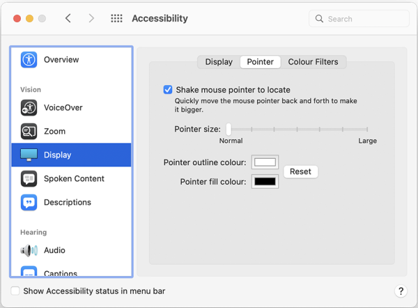 Settings available under the pointer tab for Display.