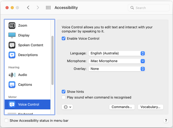 Screenshot of the Voice Control panel in the Accessibility menu