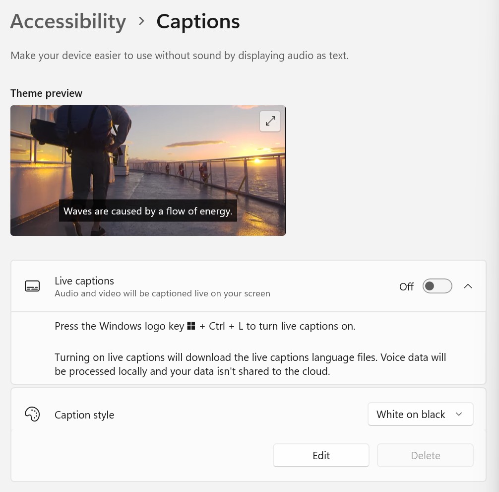 Screenshot of the caption style options in the captions panel of the accessibility menu.