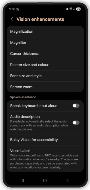 Magnification menu in the vision enhancements menu.