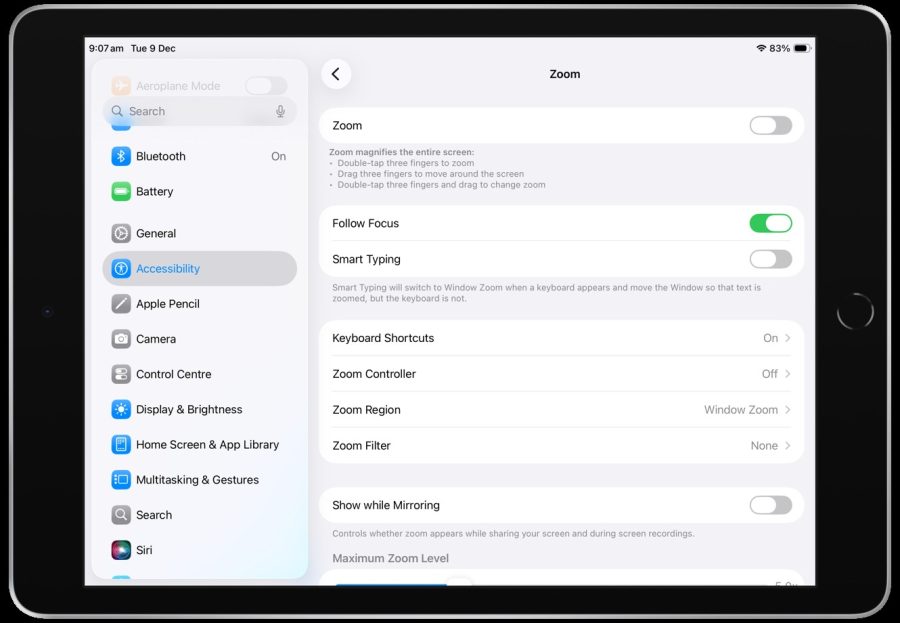 Screenshot of Zoom menu