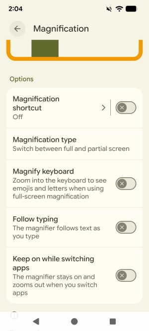 The Magnification sub-menu of the Android Accessibility settings. The options shown are 'Magnification shortcut', 'Magnification type', 'Magnify keyboard', 'Follow typing', and 'Keep on while switching apps.