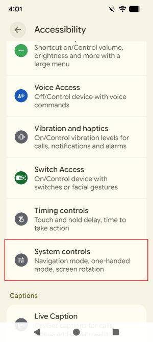 The Accessibility settings menu of an Android phone. The menu option 'System controls' is highlighted with a red border.