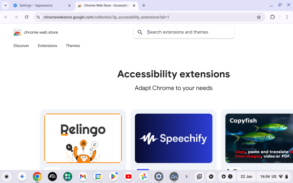 Screenshot of Chrome Web Store.