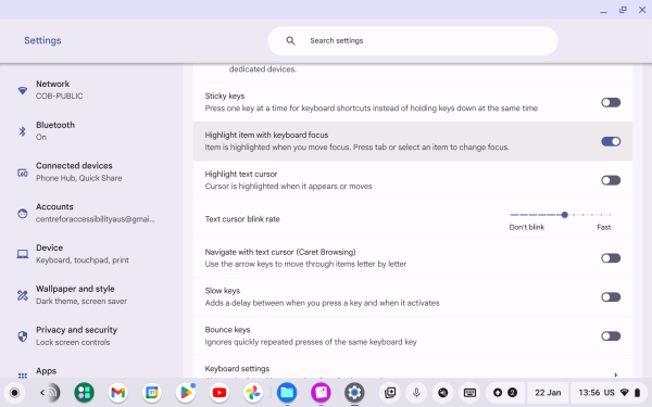 Screenshot of Keyboard and text input with “Highlight item with keyboard focus” highlighted.