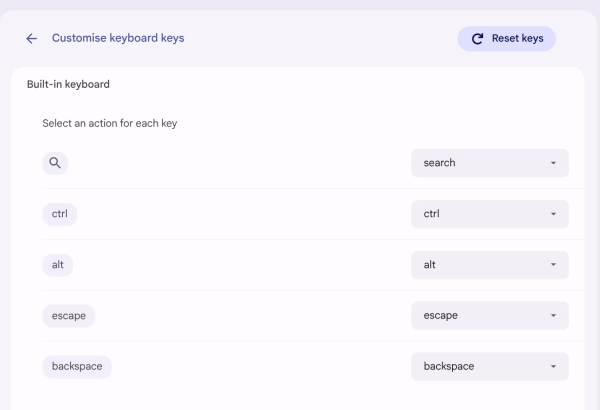 Screenshot showing "Customise keyboard keys" setting
